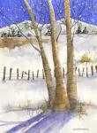 Birch with Cardinal