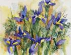 Indelible Irises