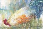 Feathered Forager