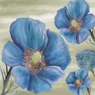 Blue Poppies 2