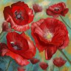 Passionate Poppies 2