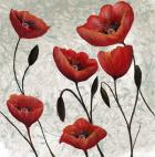 Tall Poppies 2