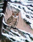 Great Horned Owl In Winter