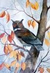 Owl and Autumn Leaves