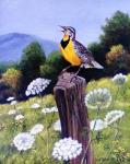 Meadowlark