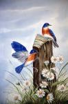 Bluebirds With Daisies 2