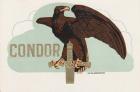 Condor