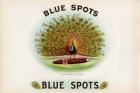 Blue Spots