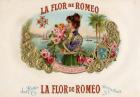 La Flor De Romeo