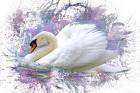 Swan 2A