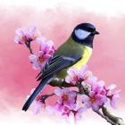 Spring Bird 3A