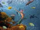 Mermaid Time
