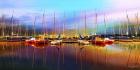 Calm Colorful Day
