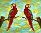 Red Parrots
