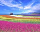 Colorful Landscape