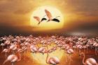 Flamingo Land 2D