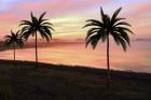 Sunset At The Beach