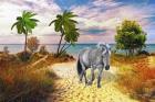 Wild Horse Of The Sea