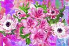 My Colorful Mind 13