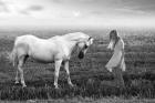 Her White Horse