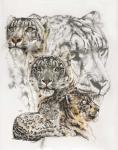 Snow Leopard and Ghost Image