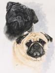 Pugs