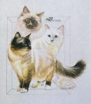 Birman