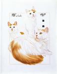 Turkish Van