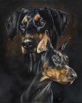 Doberman Pinscher