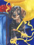 Dachsund With Yellow Ribbons And Balloons