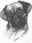 Puggle