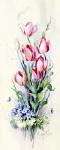 Pink Tulips