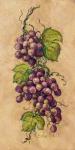 Vintage Grapevine I