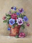 Pansy Pot