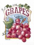 Grape Seed Packet