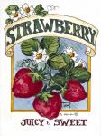 Juicy and Sweet Strawberry-Seed Packet