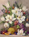 Fruit and Magnolias