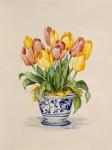 Blue and White Porcelain Tulips