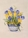 Blue and White Porcelain Crocus