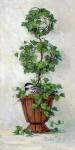 Ivy Topiary II
