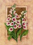 Foxglove Fresco