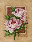 Peony Fresco