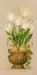 Bulbs in Bloom I