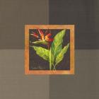 Tropical Treasures II