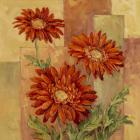 Terracotta Daisies