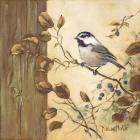 Chickadee Square II