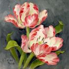 Pink Tulips