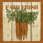 Farm Fresh Carrots