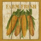 Farm Fresh Corn