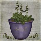 Herb Sage